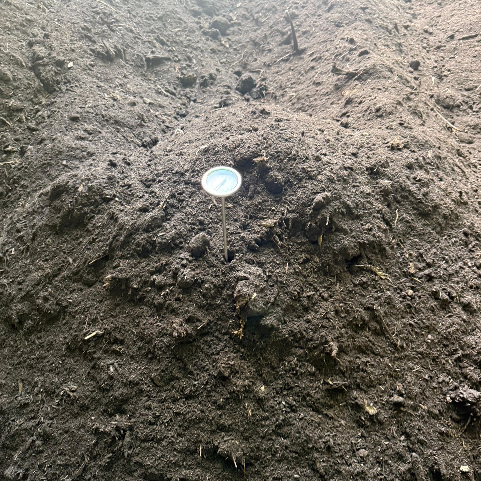 Compost pile with thermometer showing temperature monitoring during composting process.